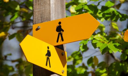 Therapy in Berlin: Finding an English-Speaking Psychotherapist as an Expat