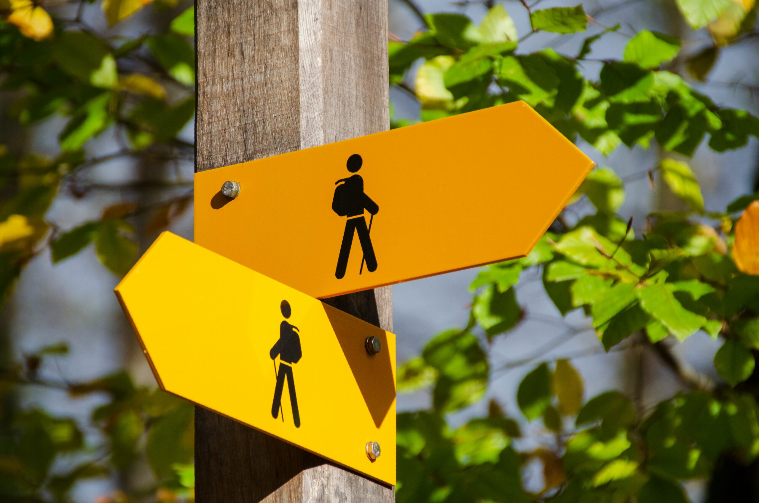 A picture of people wandering and looking for a right path