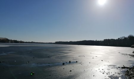 In Praise of Winter: Finding Warmth and Light in Dark Seasons